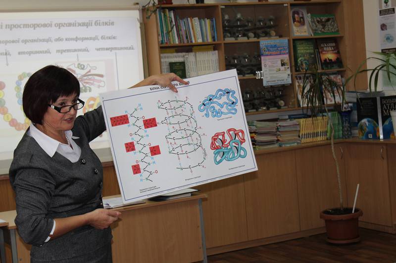 Pokazovyy urok biolohiyi na temu «Bilky»
